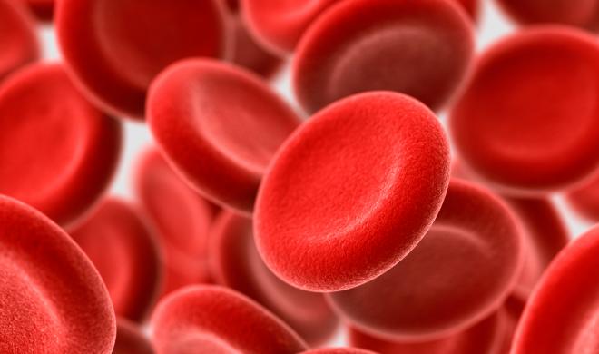 RedBloodCells