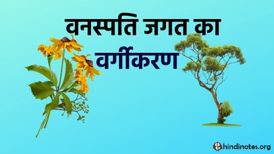 Classification of Plant Kingdom in hindi
