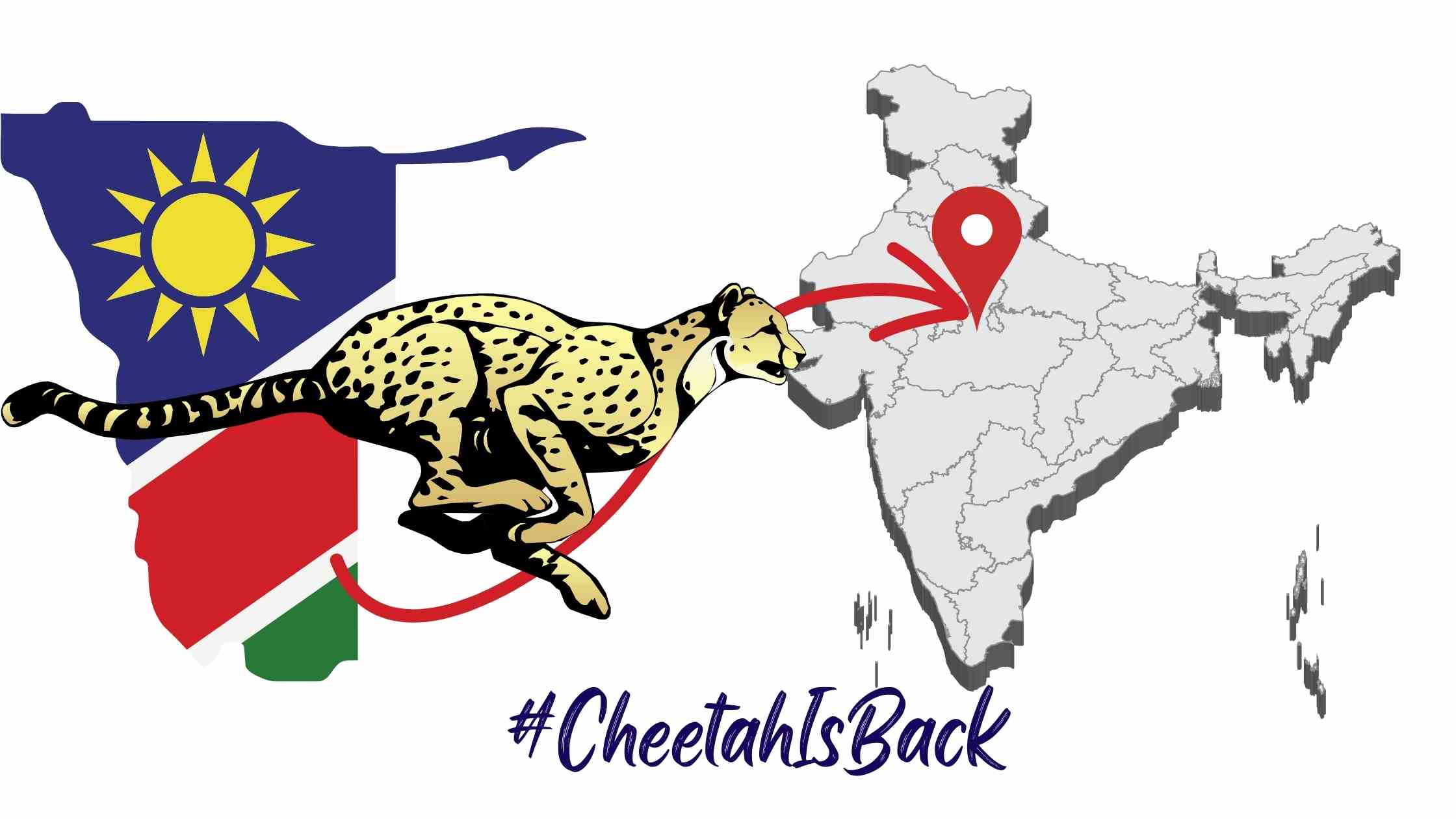 cheetah is back cheetah reintroduction in india