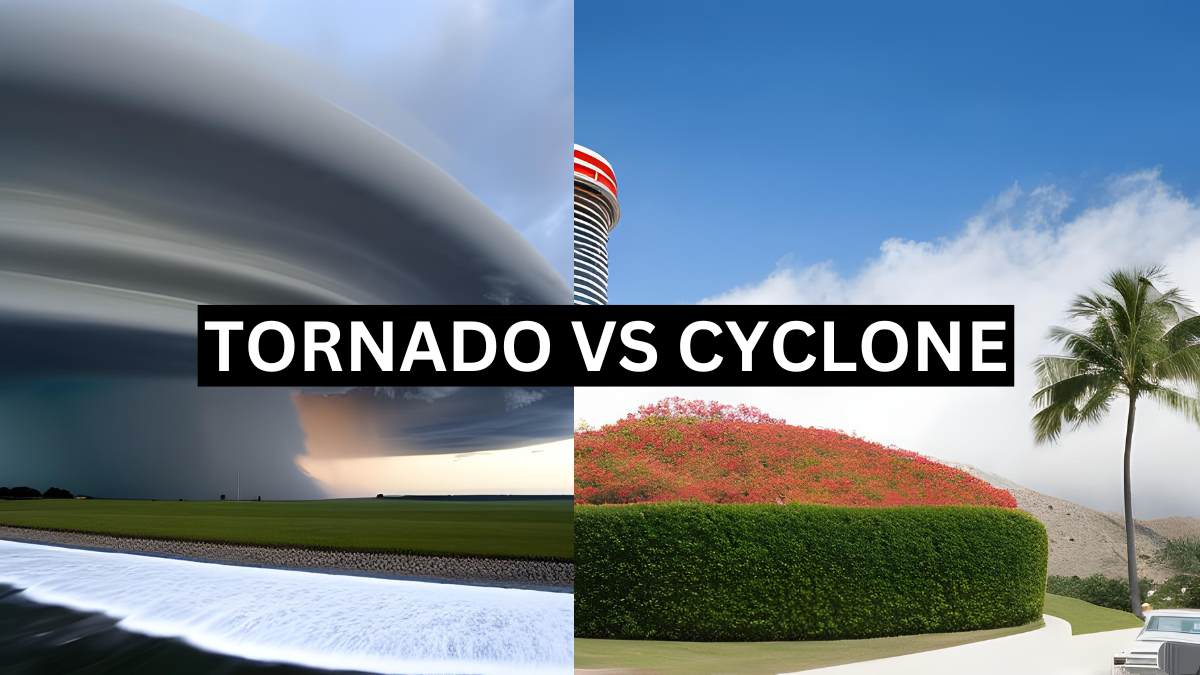 tornado vs cyclone